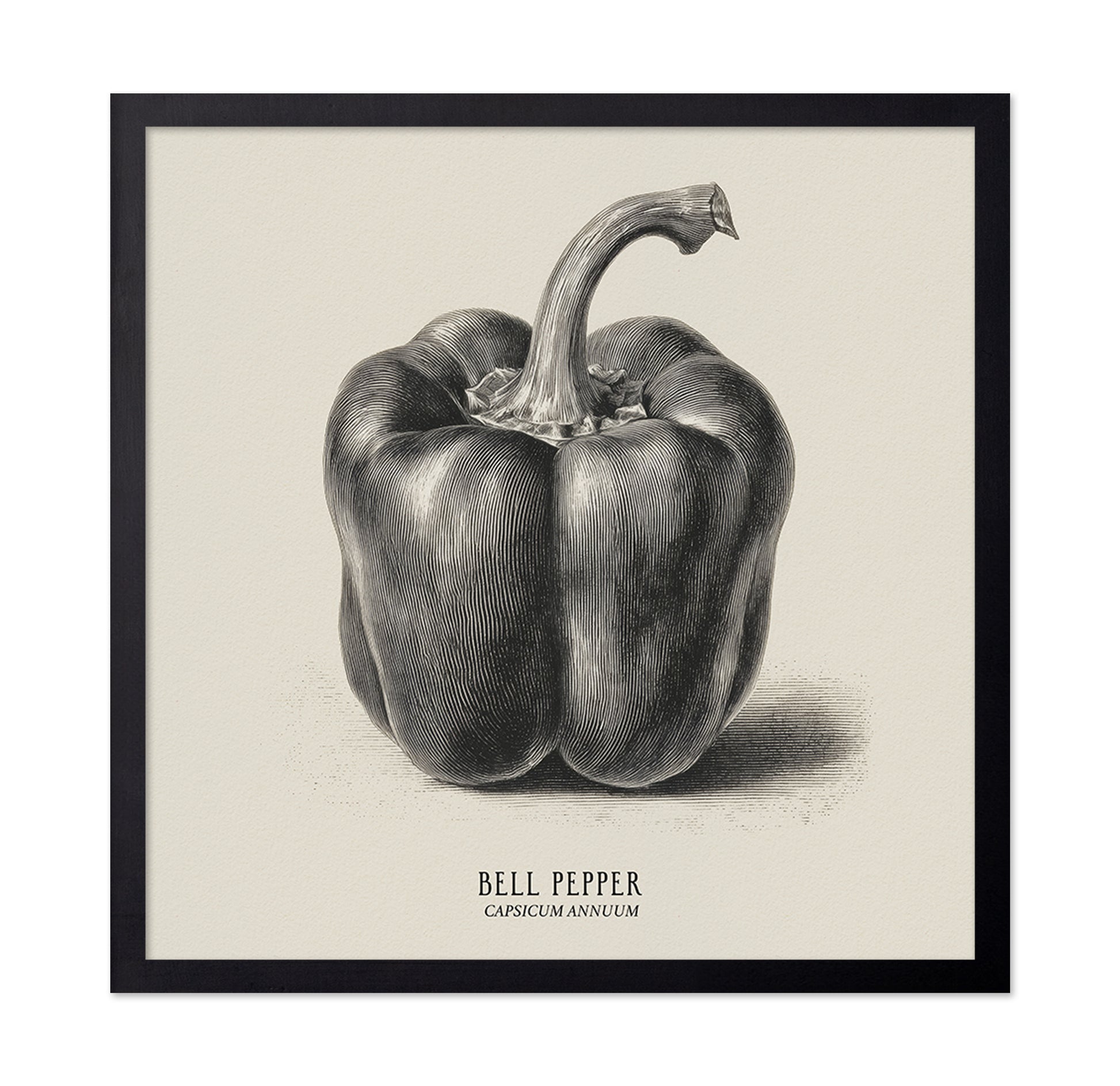 Vintage Bell Pepper