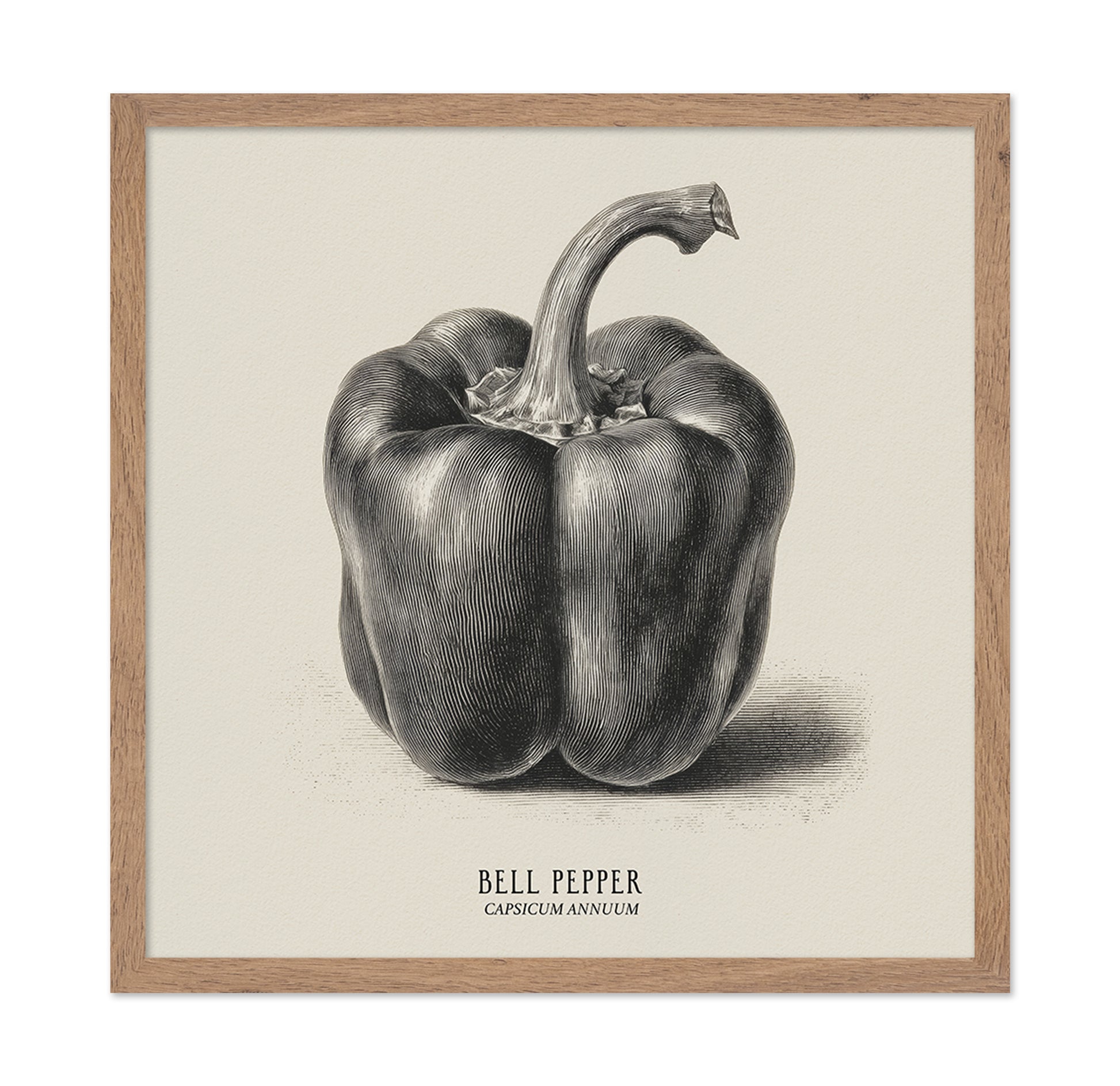 Vintage Bell Pepper