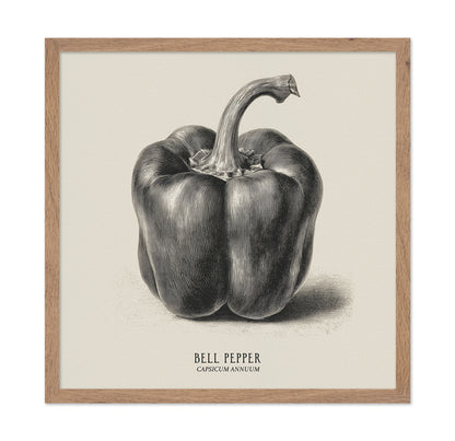 Vintage Bell Pepper