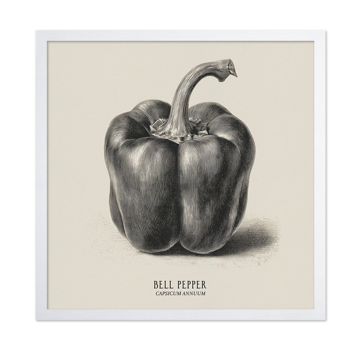 Vintage Bell Pepper