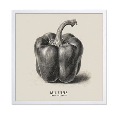 Vintage Bell Pepper