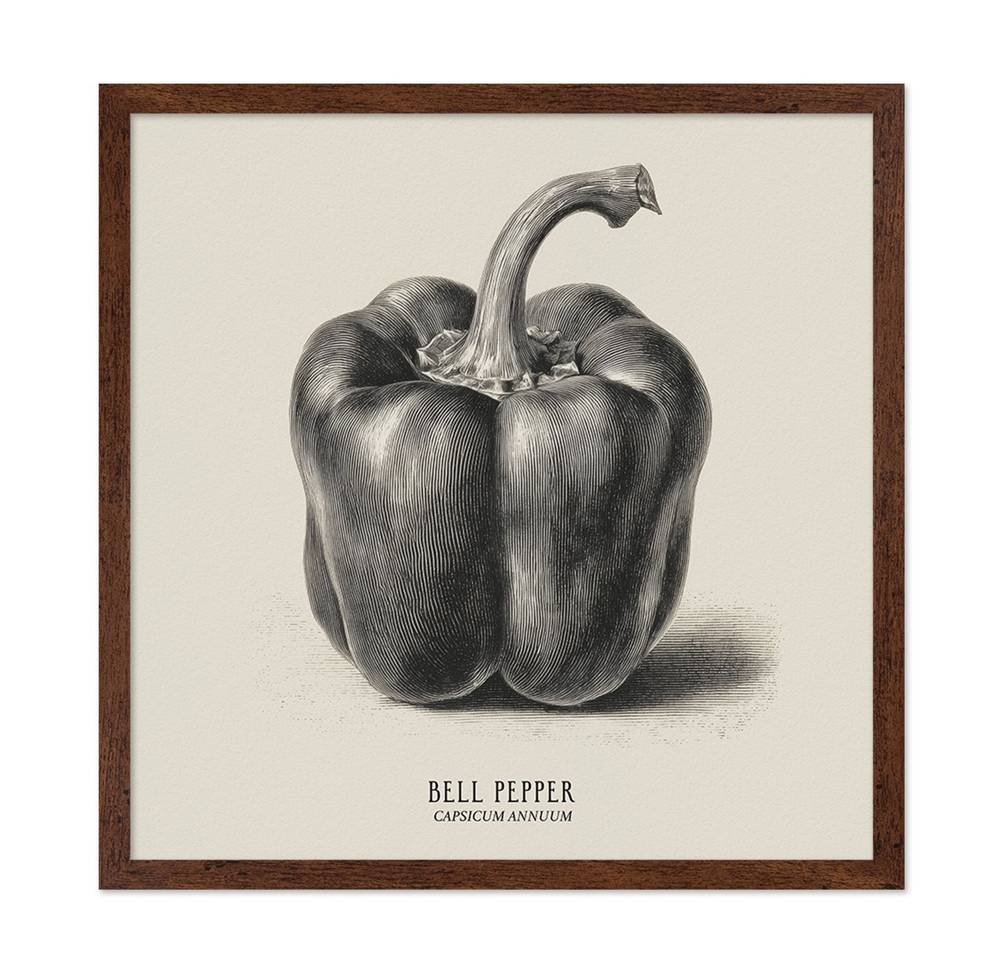Vintage Bell Pepper