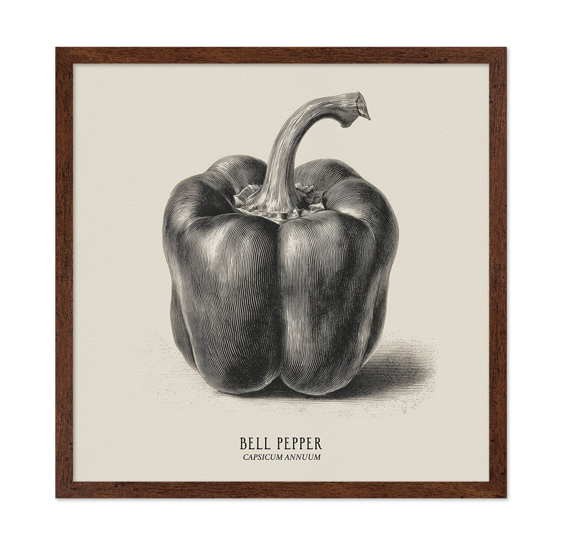 Vintage Bell Pepper