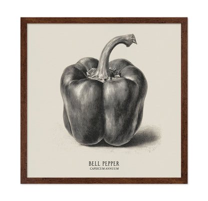 Vintage Bell Pepper