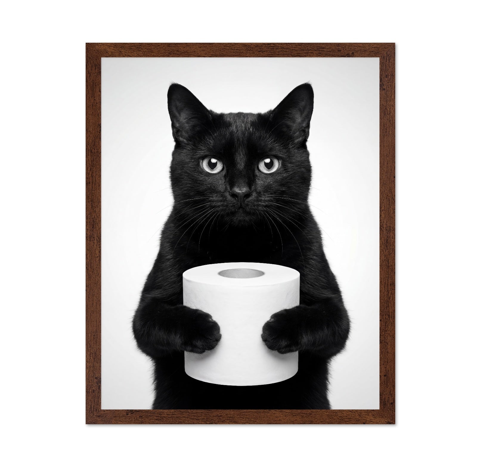 Black Cat With Roll