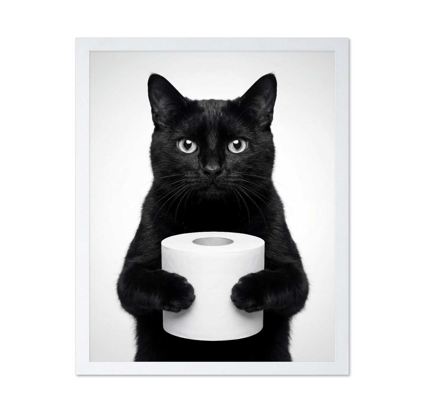 Black Cat With Roll