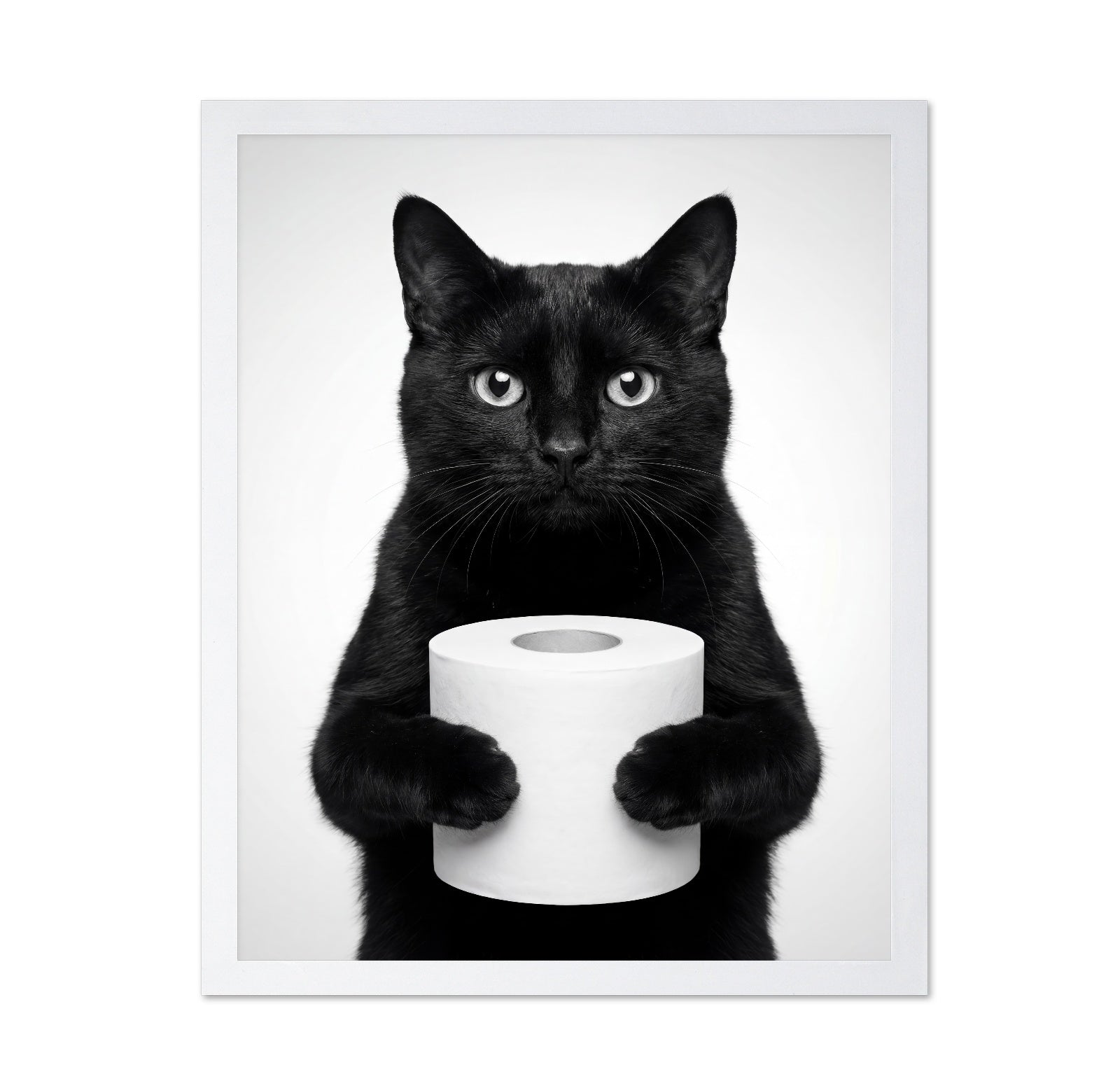 Black Cat With Roll