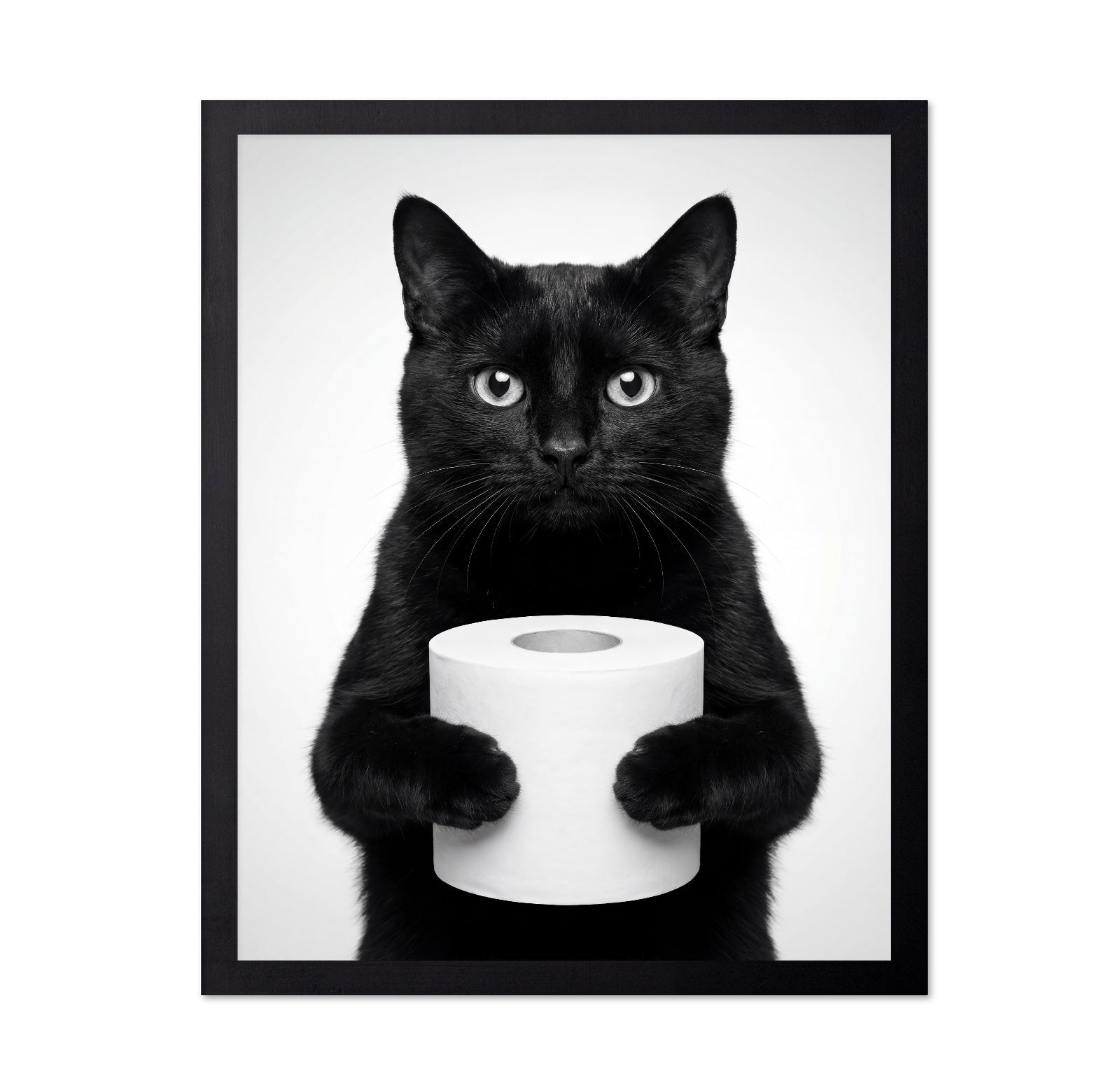 Black Cat With Roll