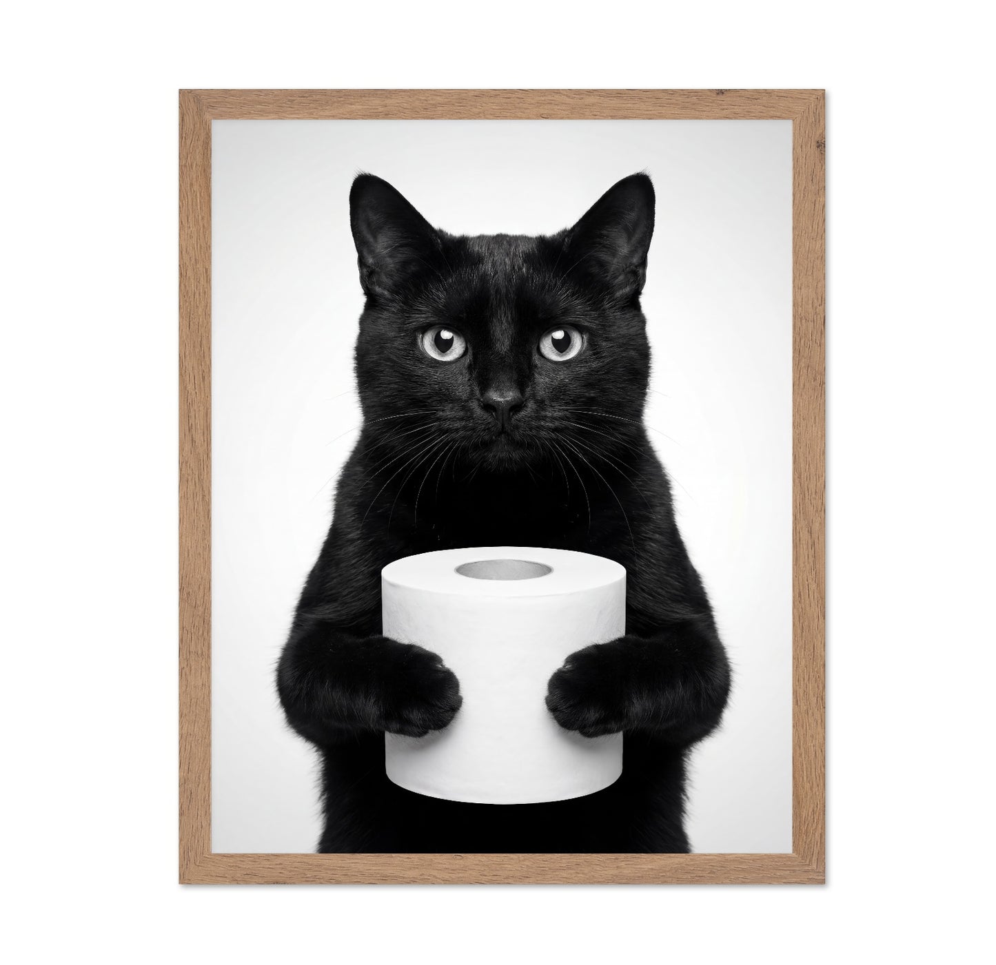 Black Cat With Roll