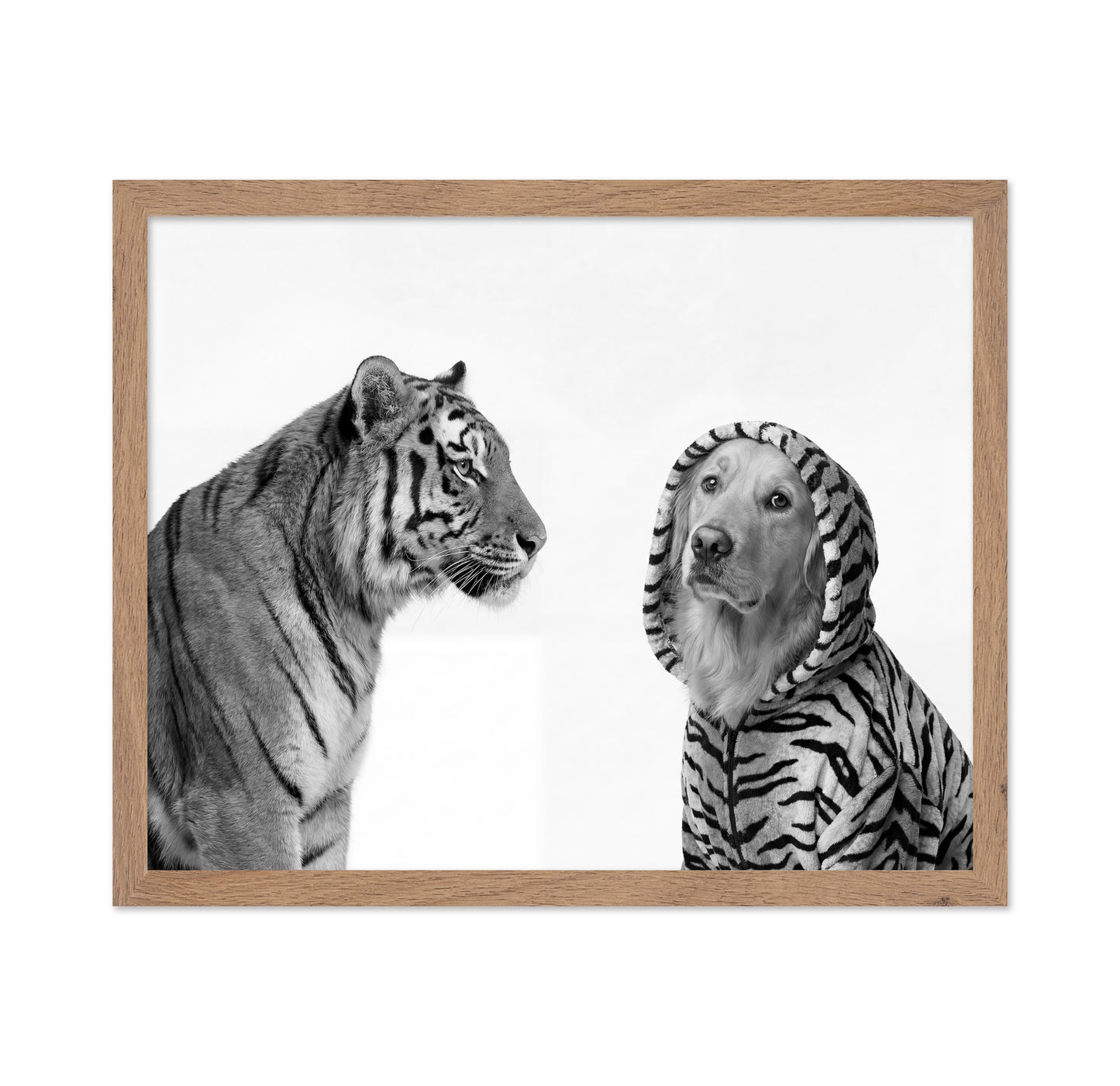 Tiger And Dog Duo