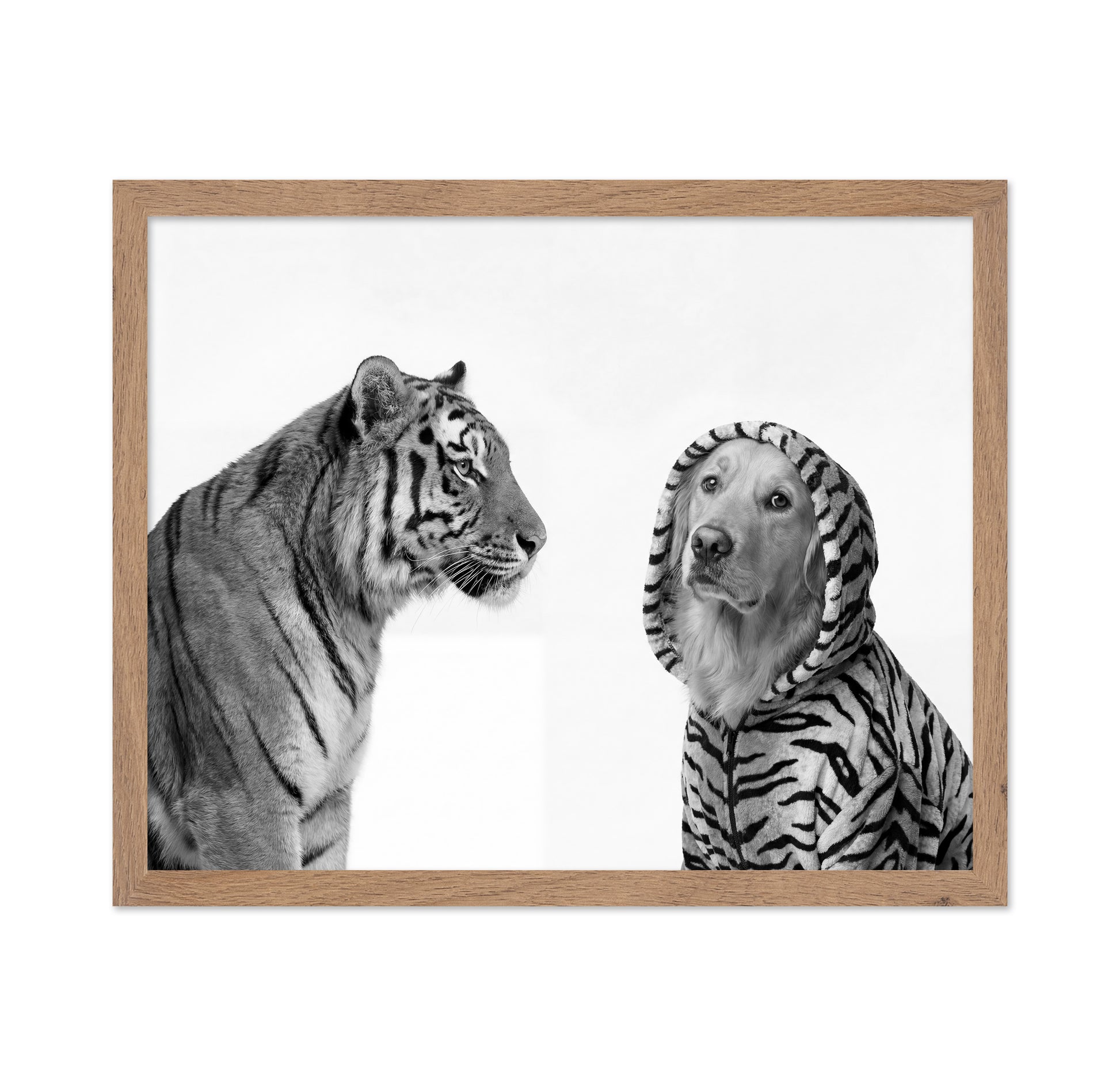 Tiger And Dog Duo