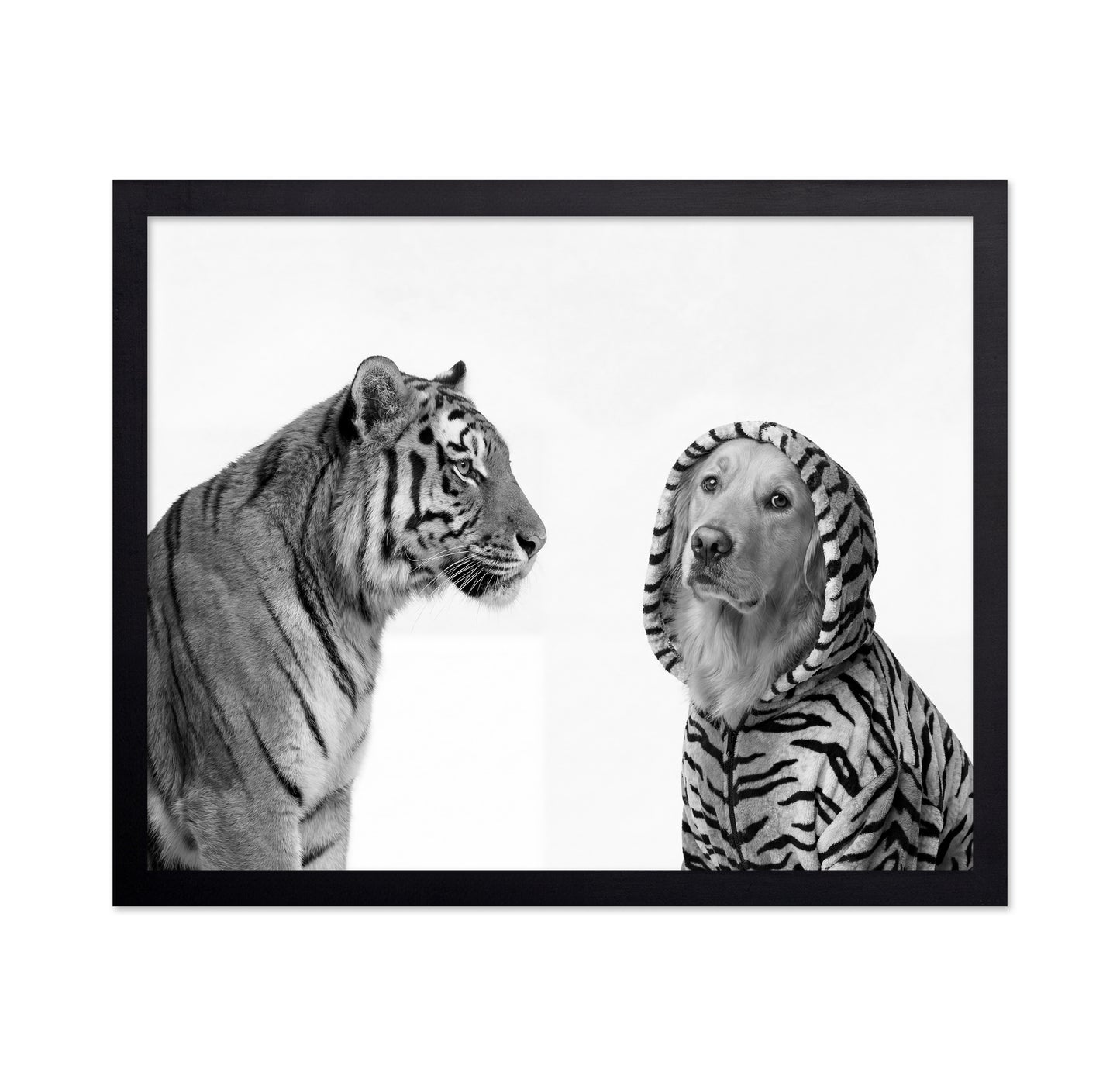 Tiger And Dog Duo