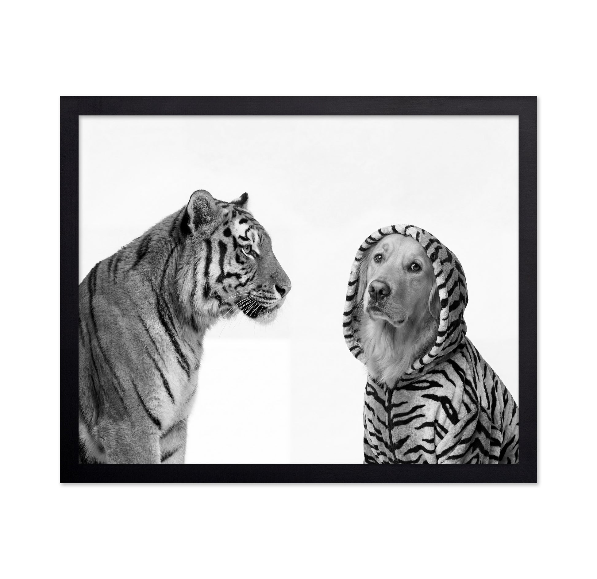 Tiger And Dog Duo