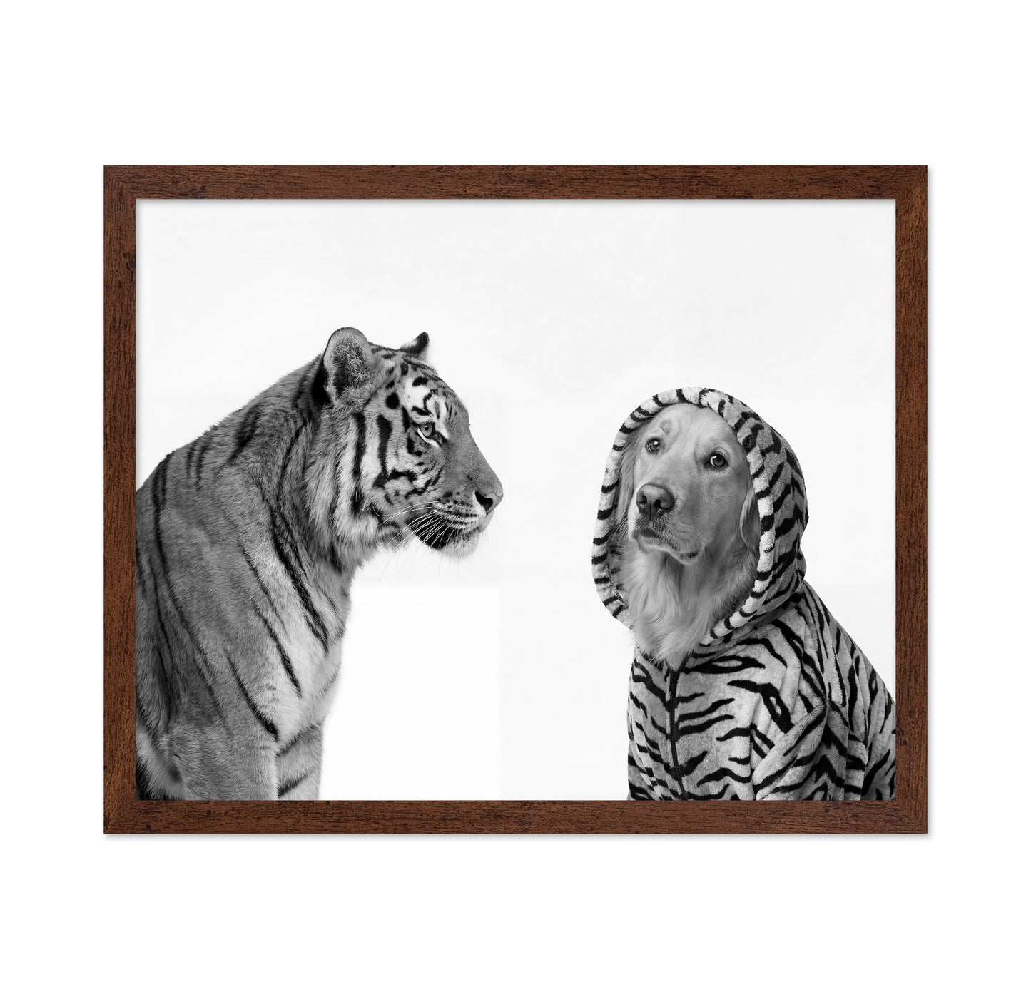 Tiger And Dog Duo