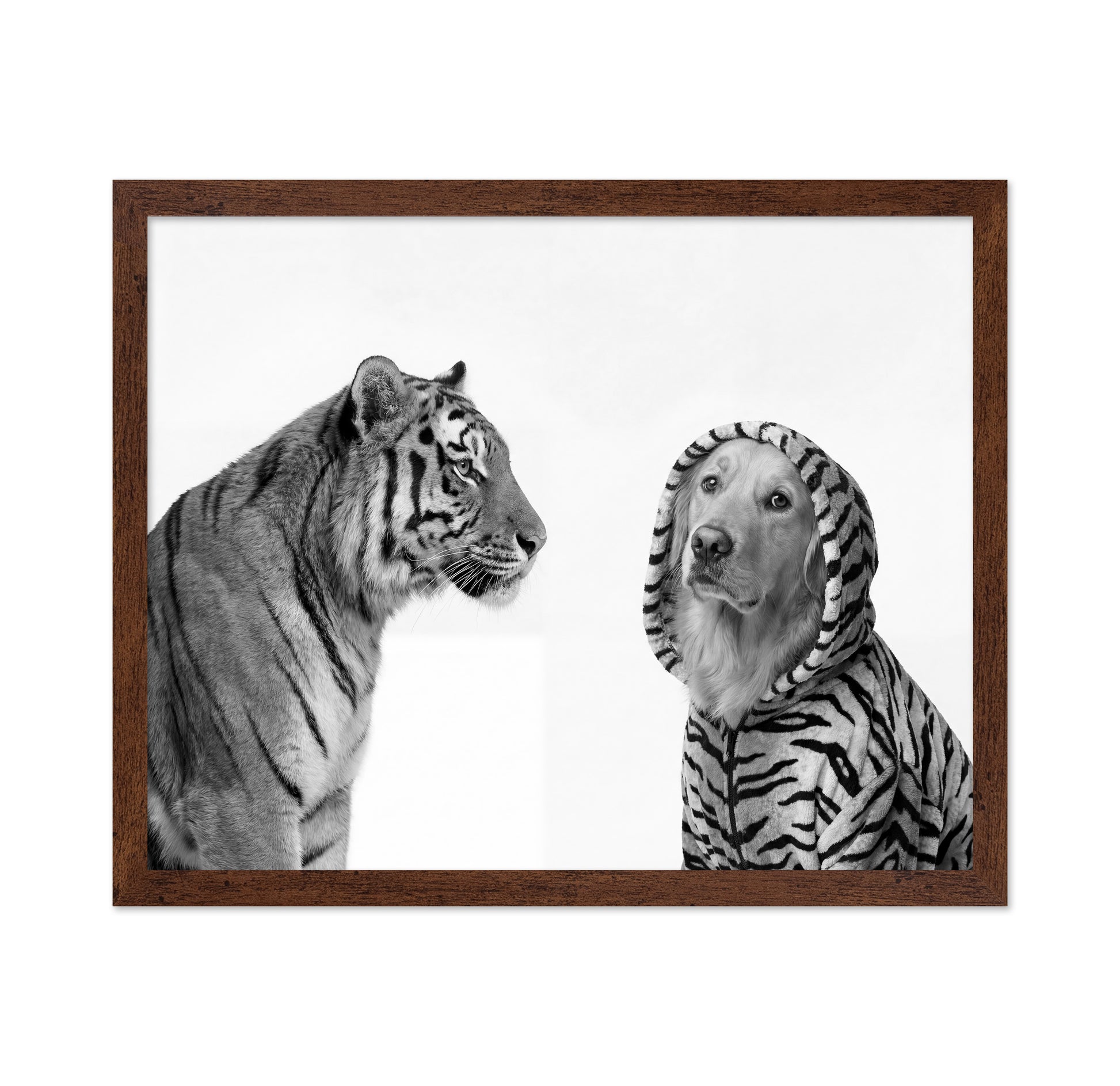 Tiger And Dog Duo