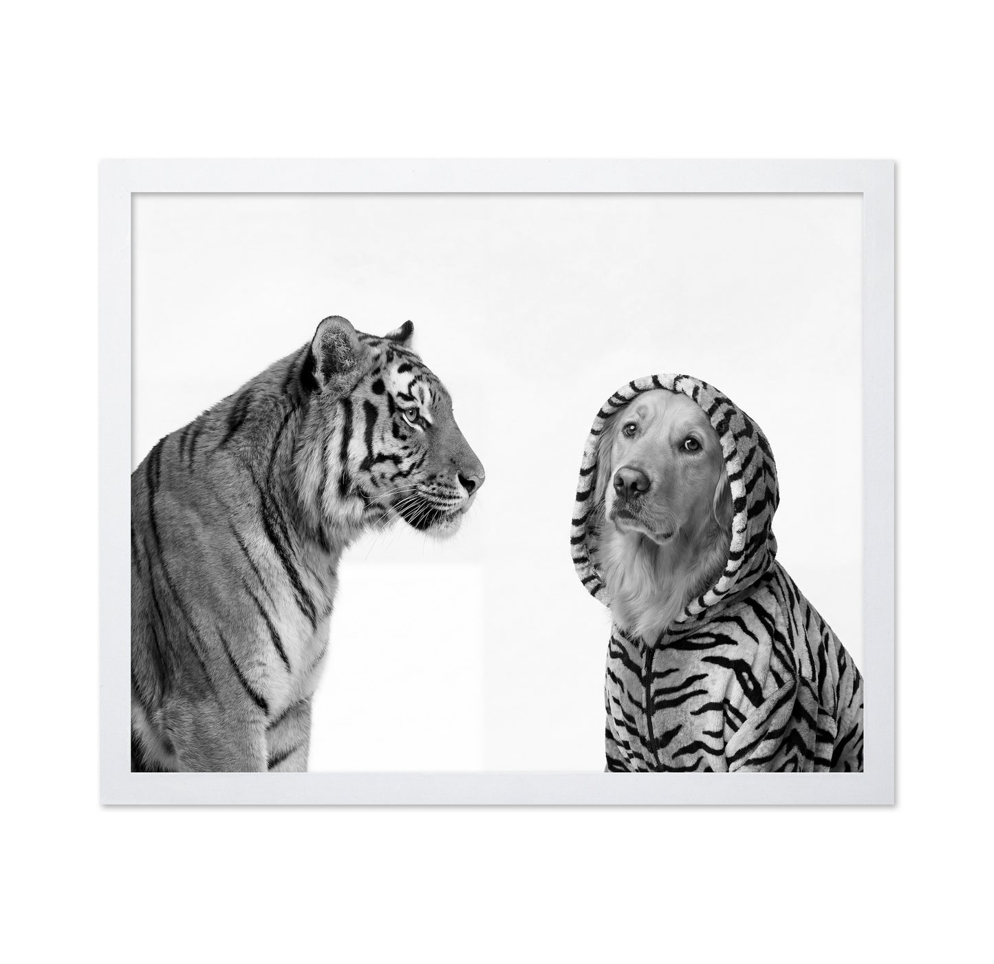 Tiger And Dog Duo
