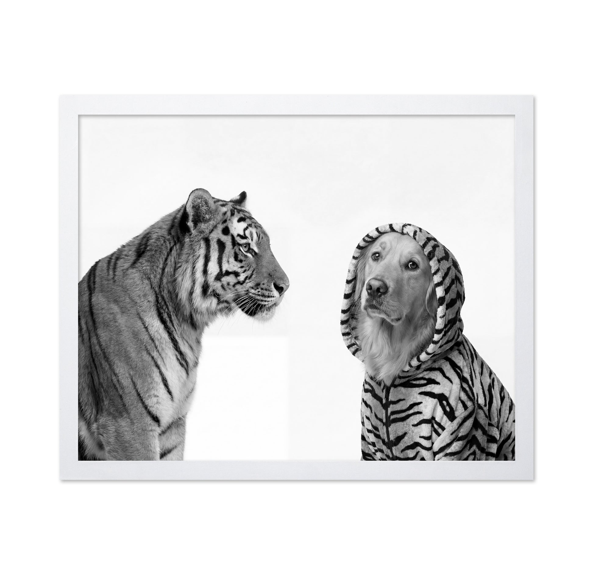 Tiger And Dog Duo
