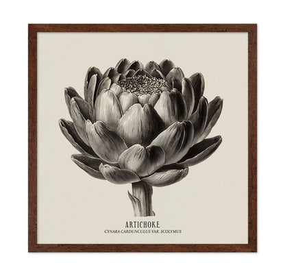 Vintage Artichoke Study