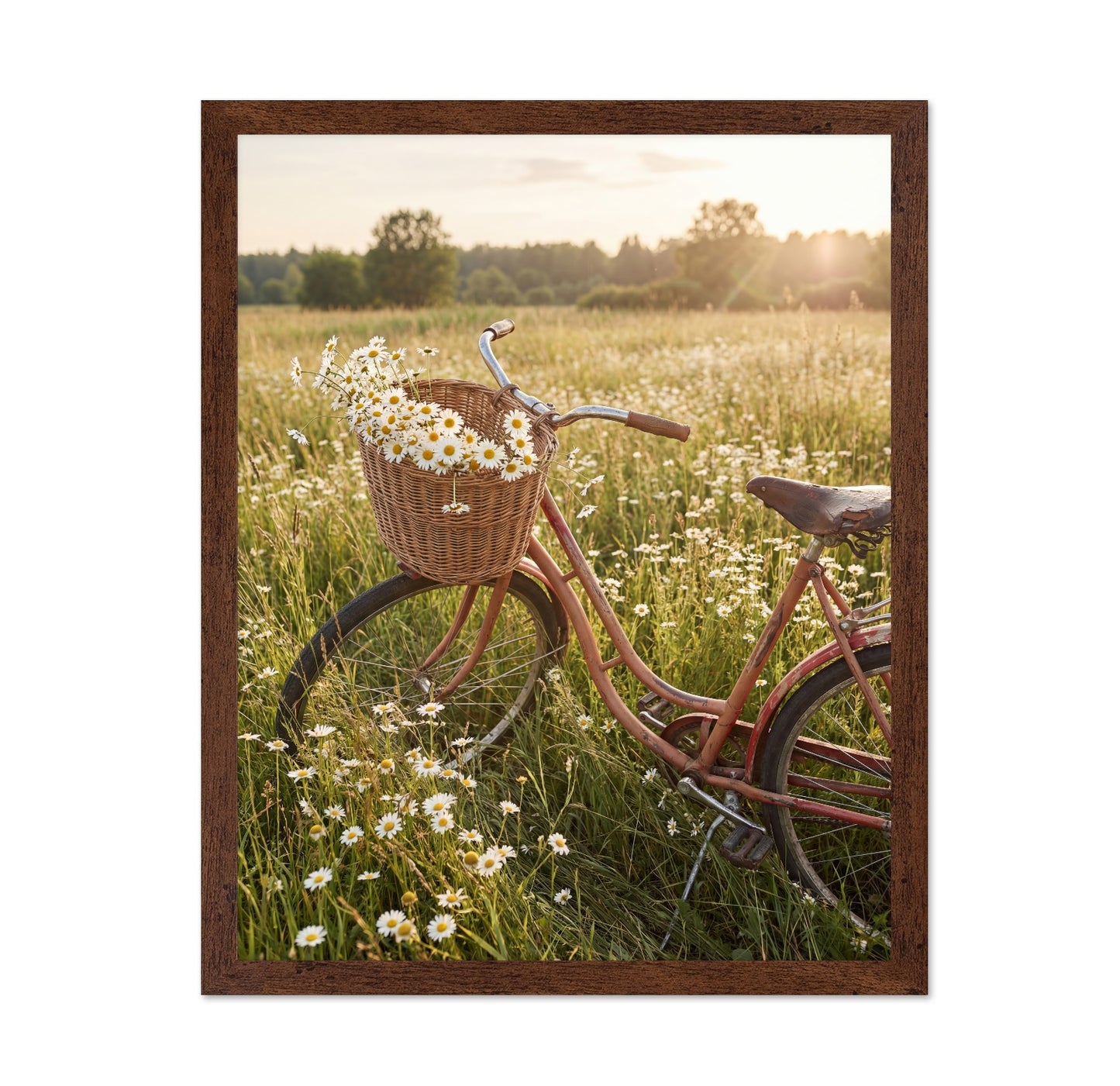 Daisy Field Bicycle