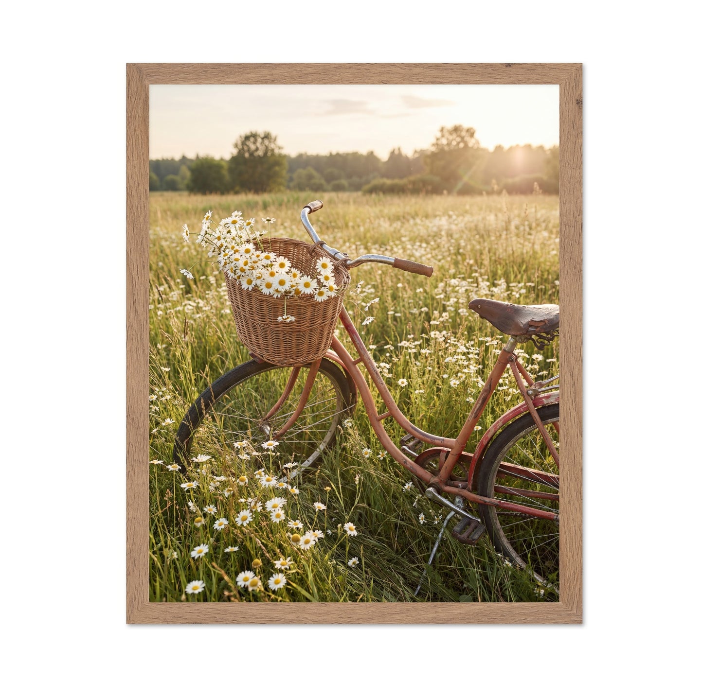 Daisy Field Bicycle