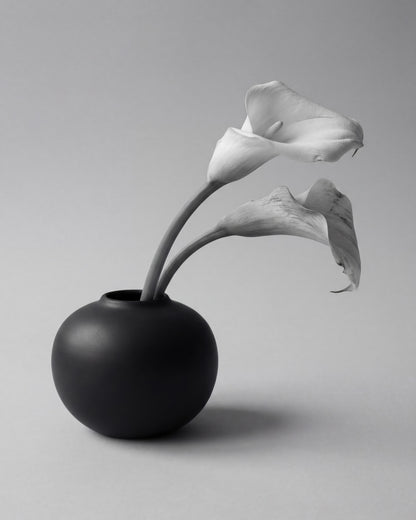 Calla Lily in Black Vase