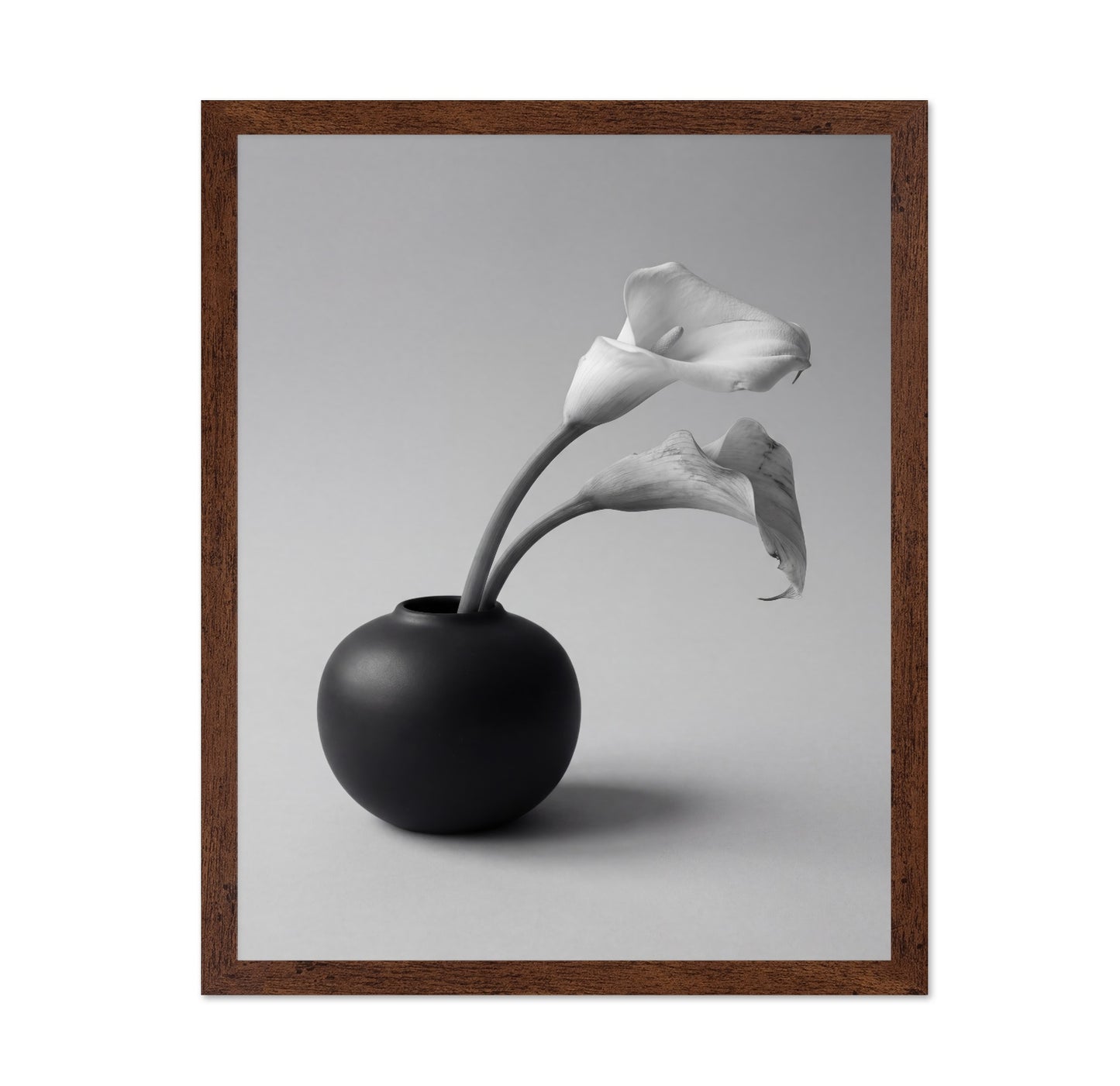 Calla Lily in Black Vase