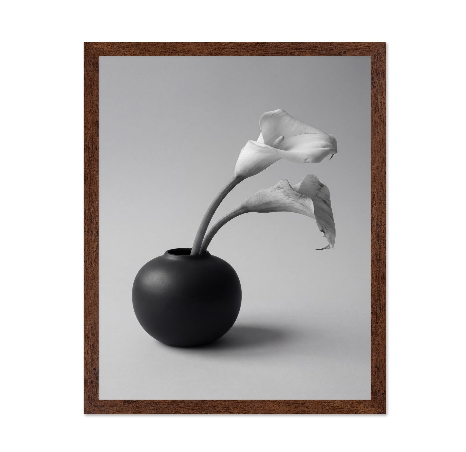 Calla Lily in Black Vase