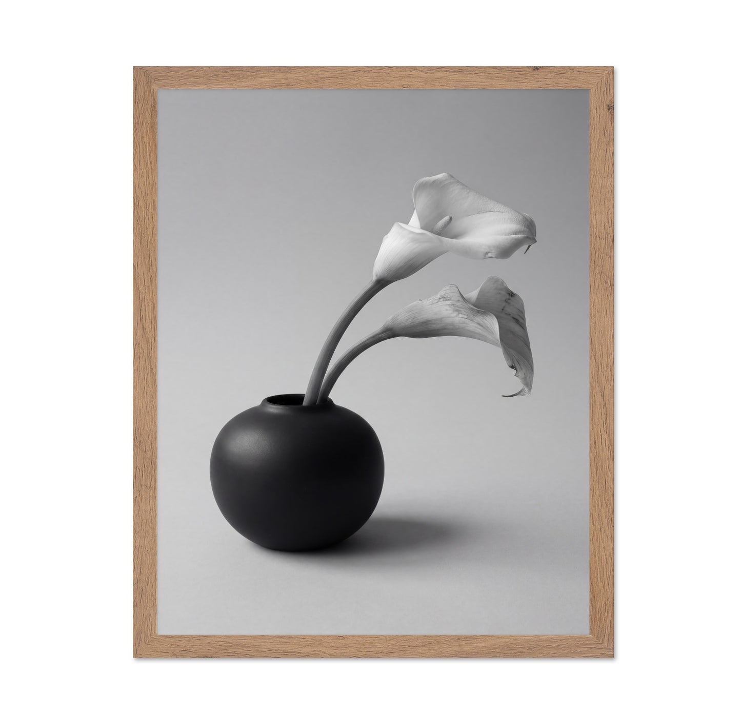 Calla Lily in Black Vase