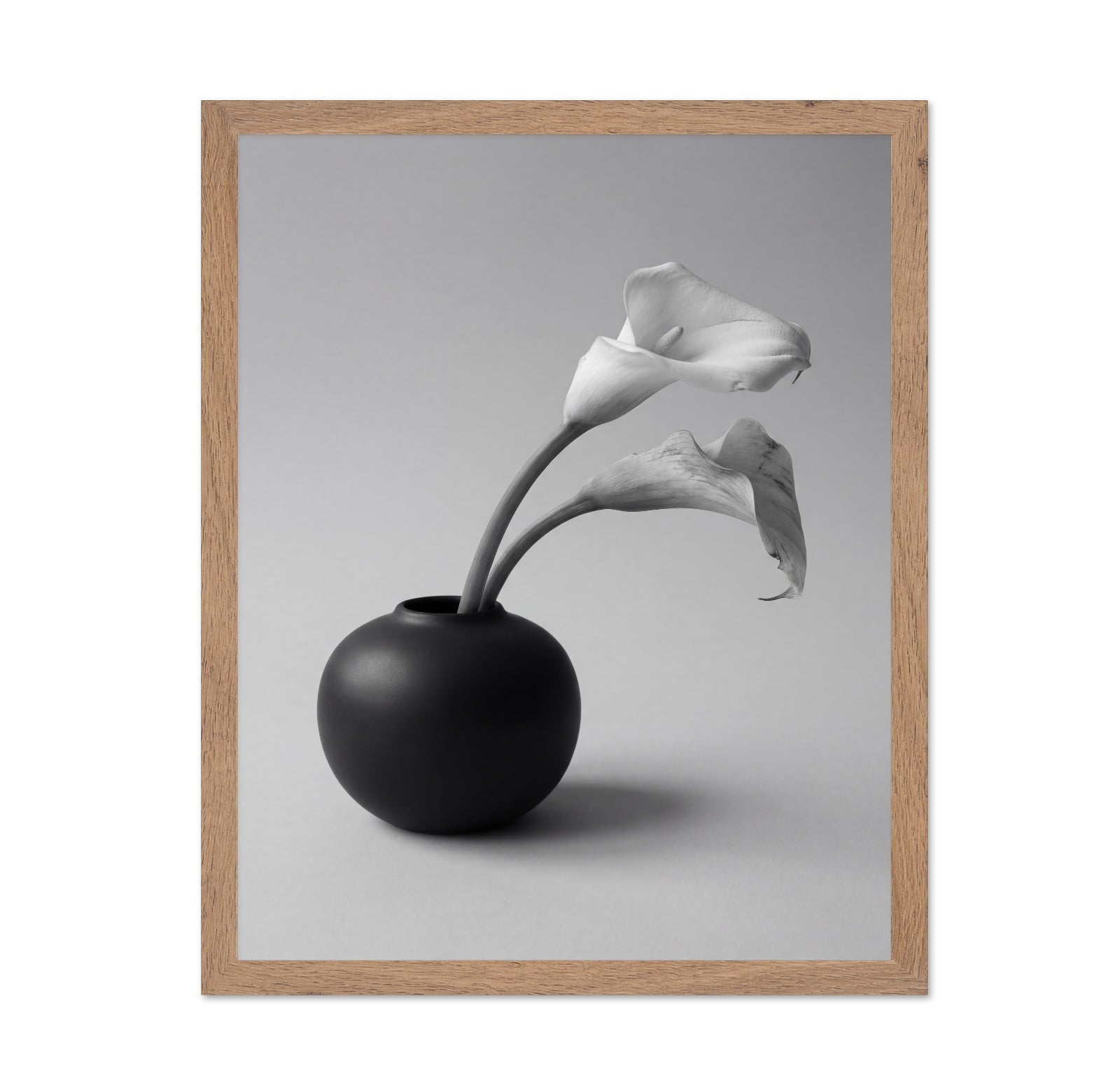 Calla Lily in Black Vase