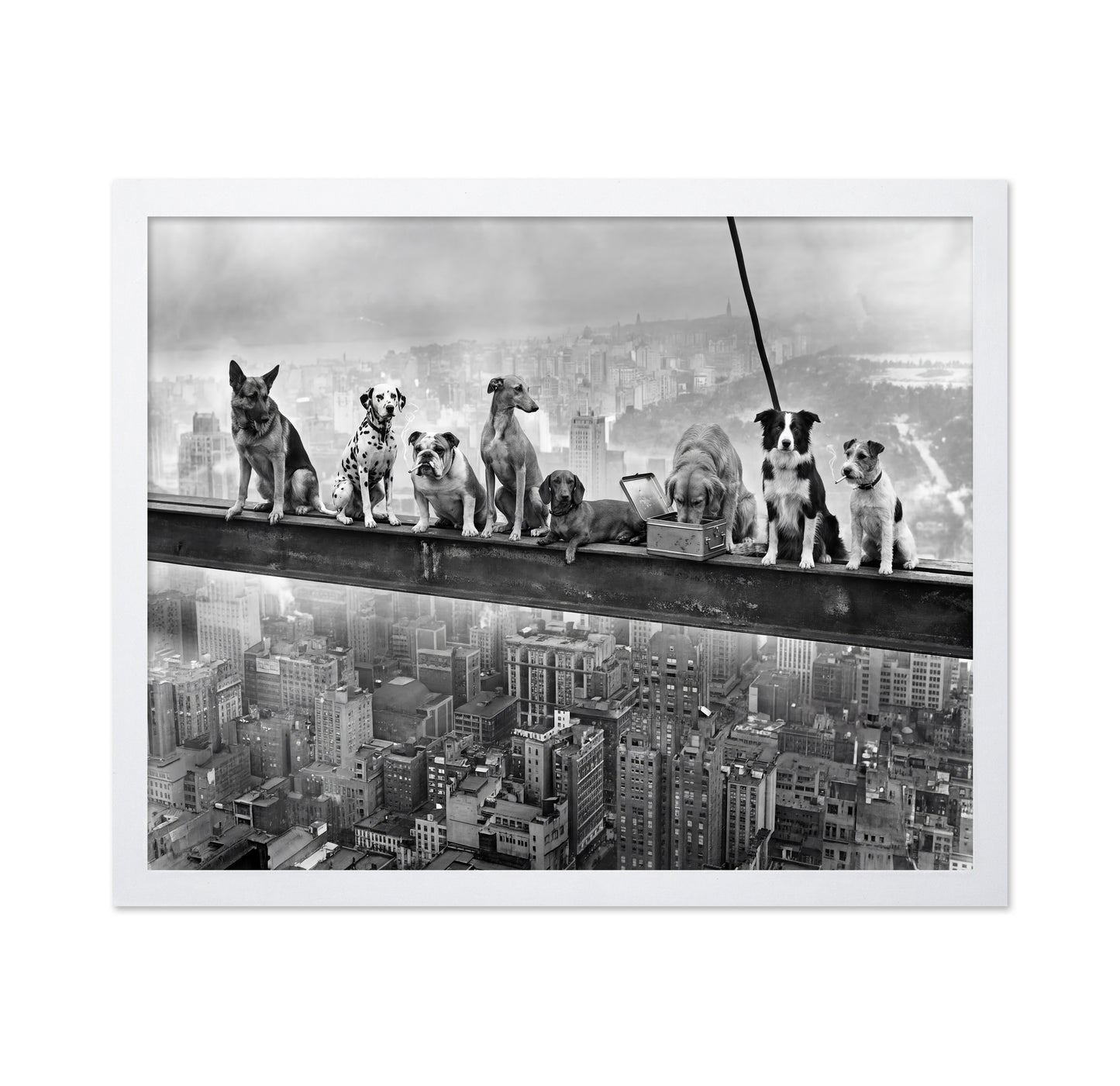 Dogs on Steel Beam