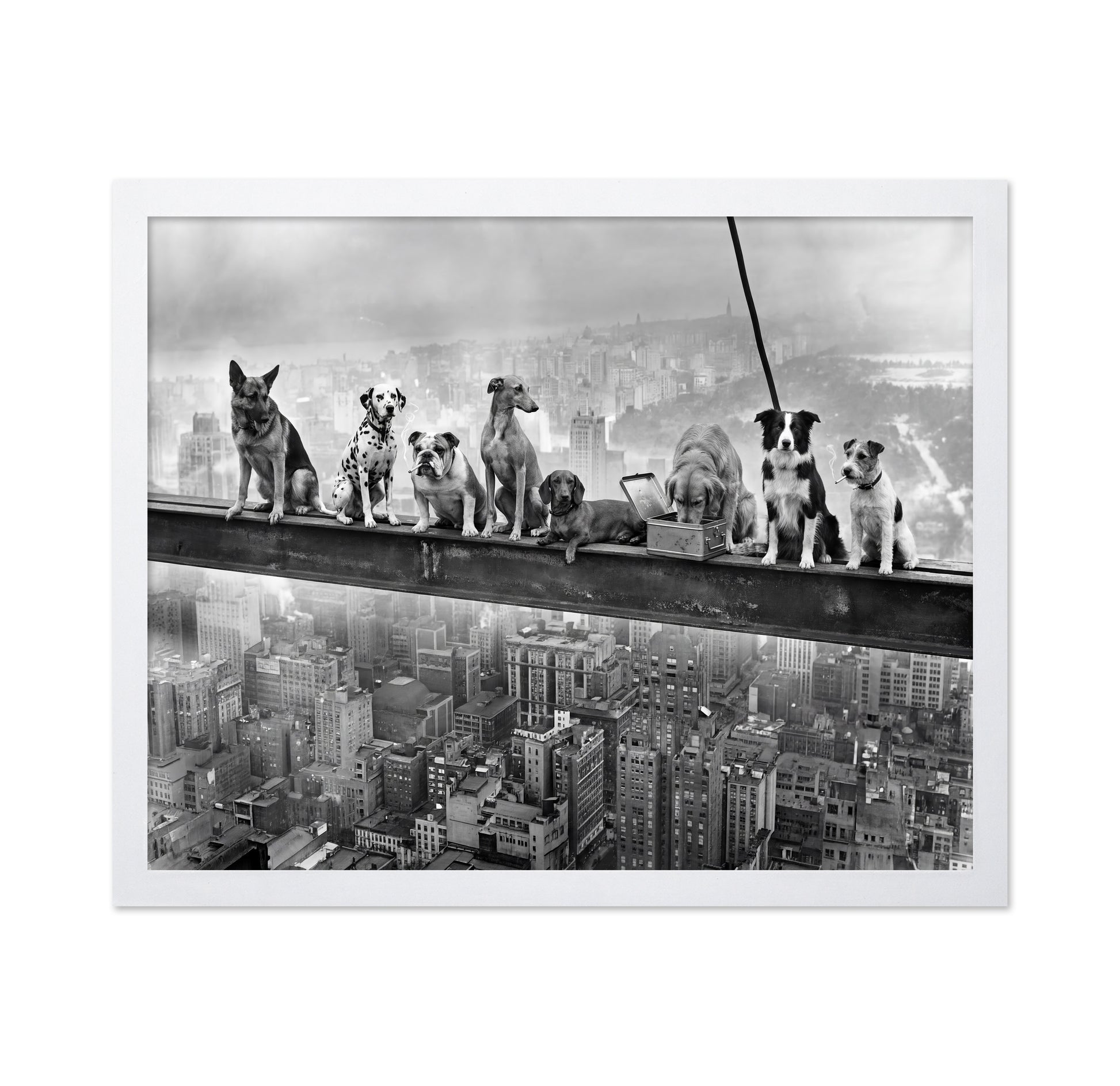 Dogs on Steel Beam