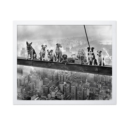 Dogs on Steel Beam