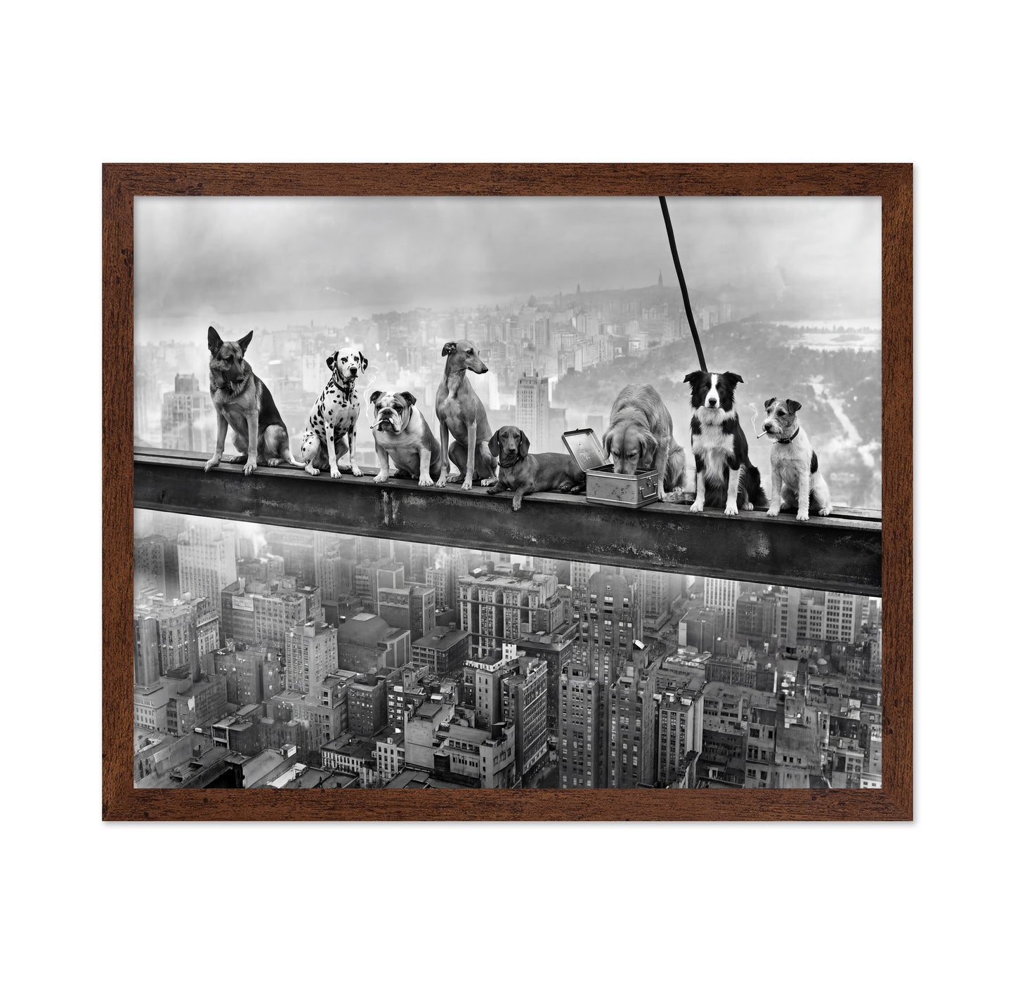 Dogs on Steel Beam