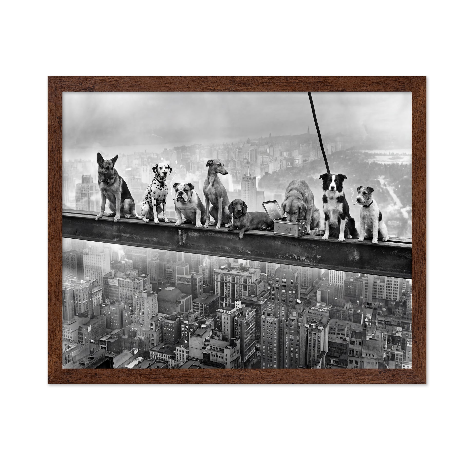 Dogs on Steel Beam