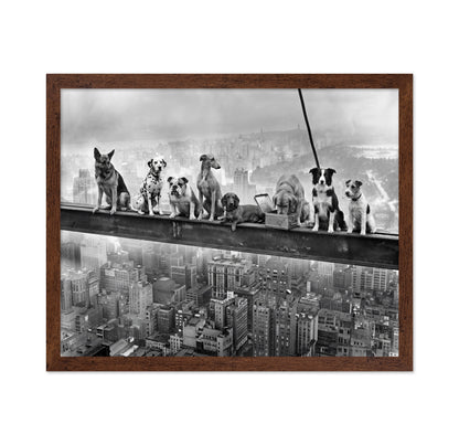 Dogs on Steel Beam