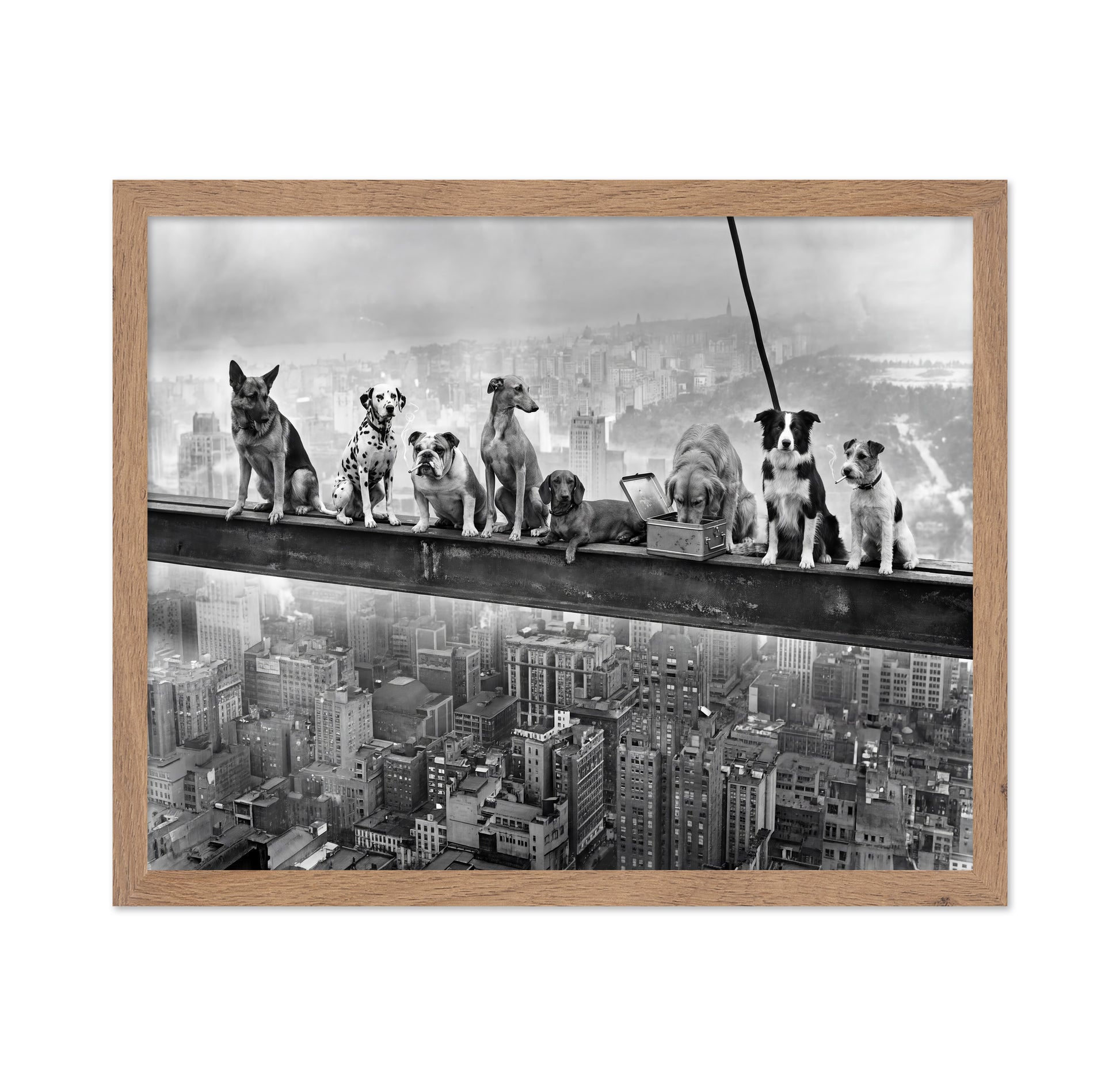 Dogs on Steel Beam