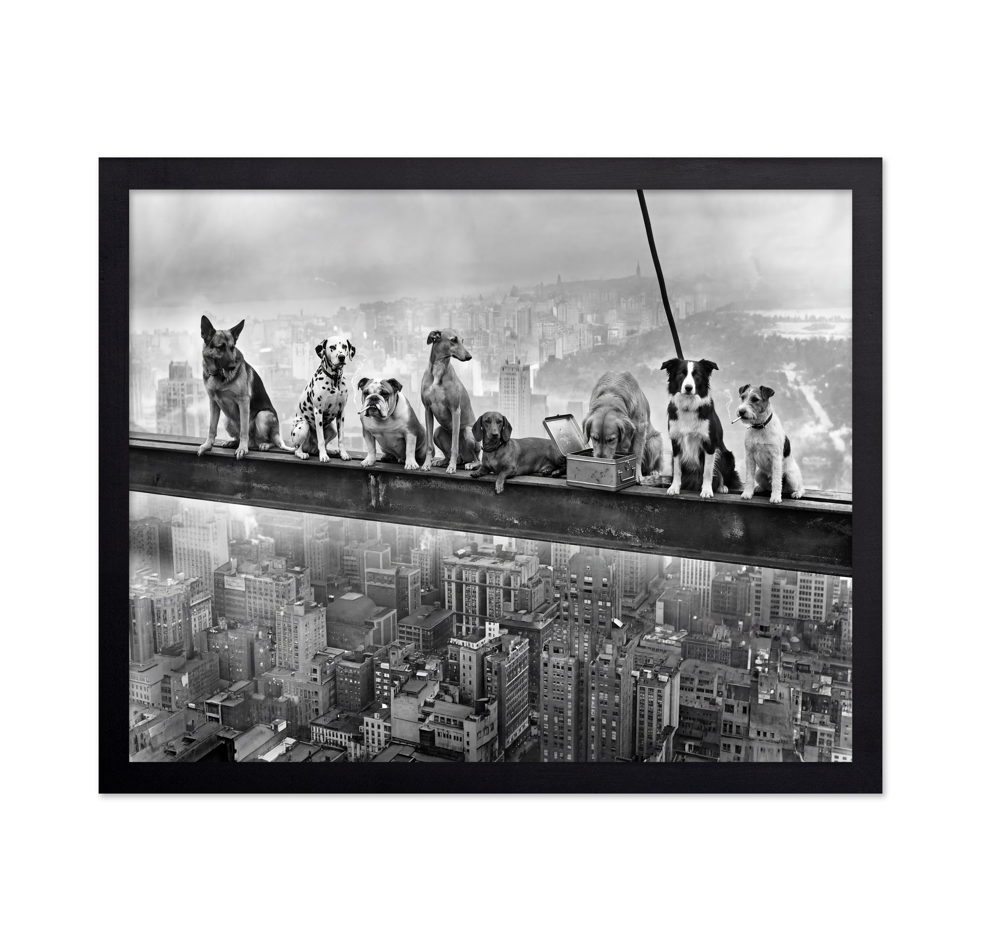 Dogs on Steel Beam