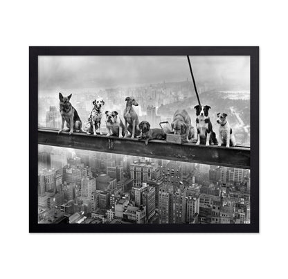 Dogs on Steel Beam