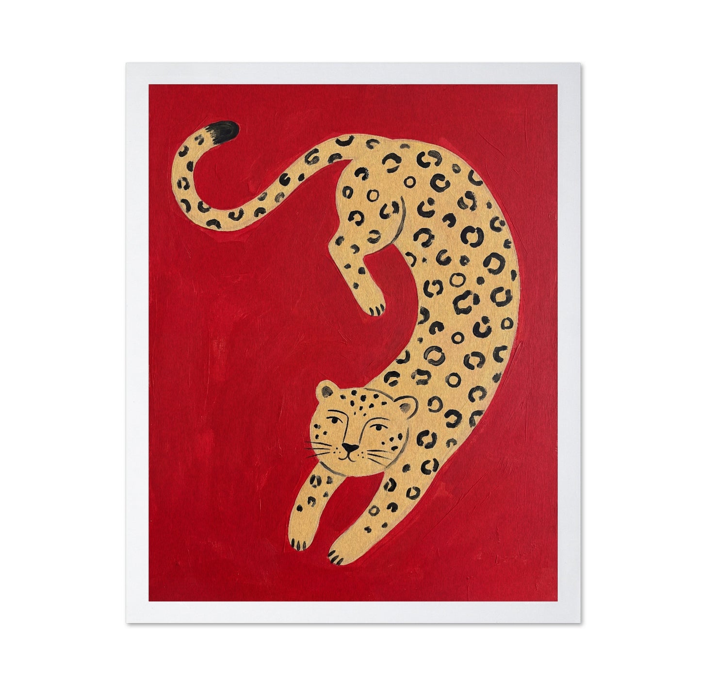 Playful Leopard on Red