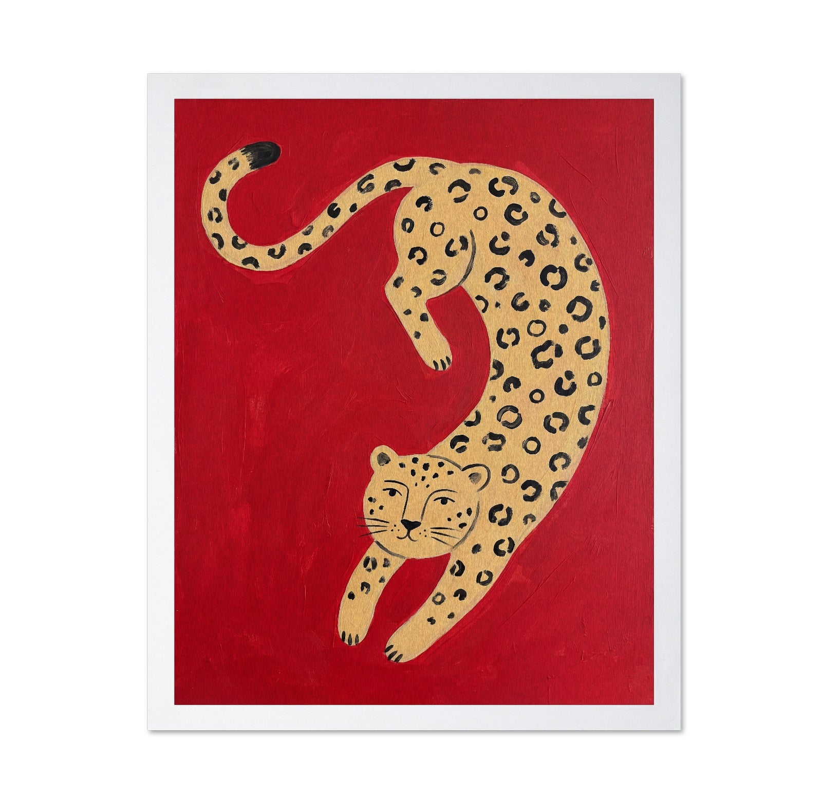 Playful Leopard on Red
