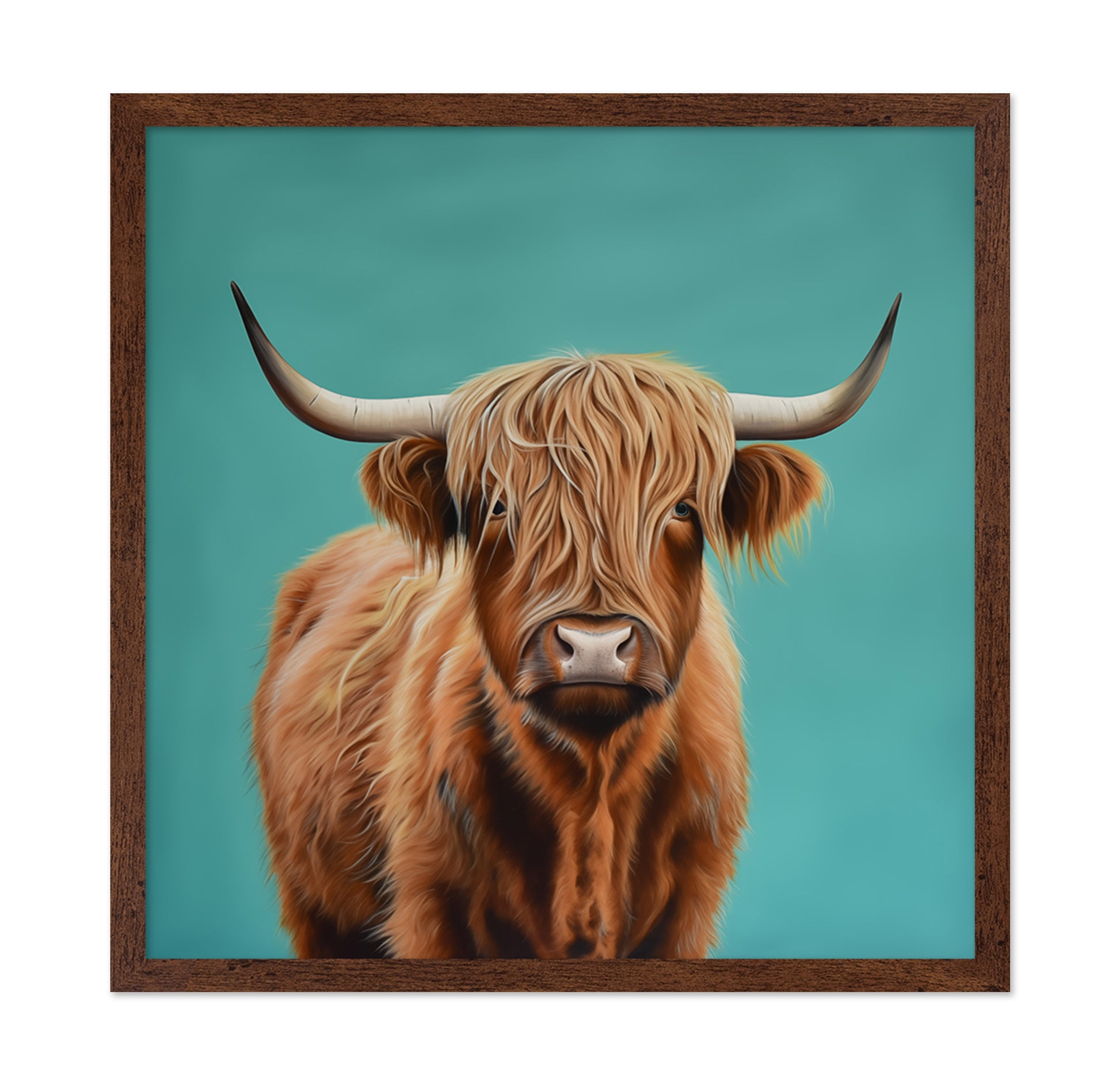 Highland Cow Portrait on Teal