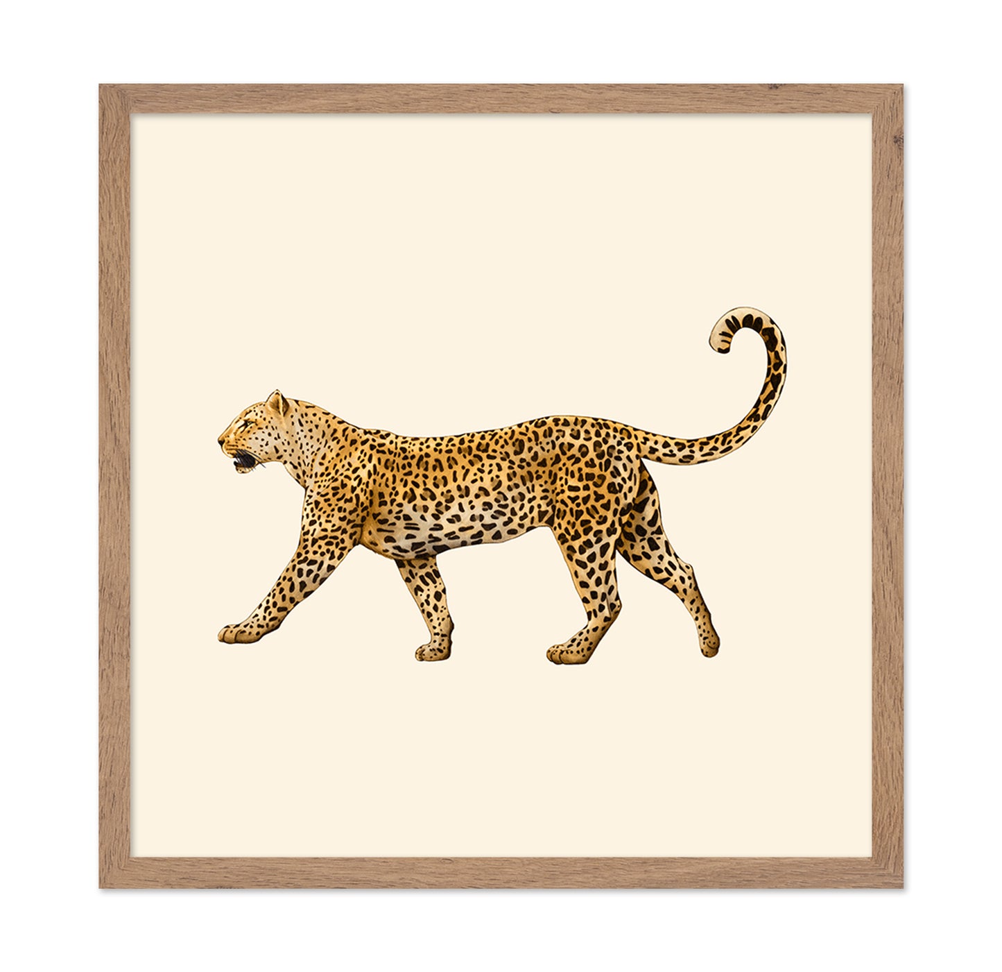 Leopard Profile Walk