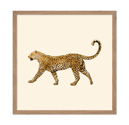 Leopard Profile Walk
