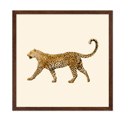 Leopard Profile Walk