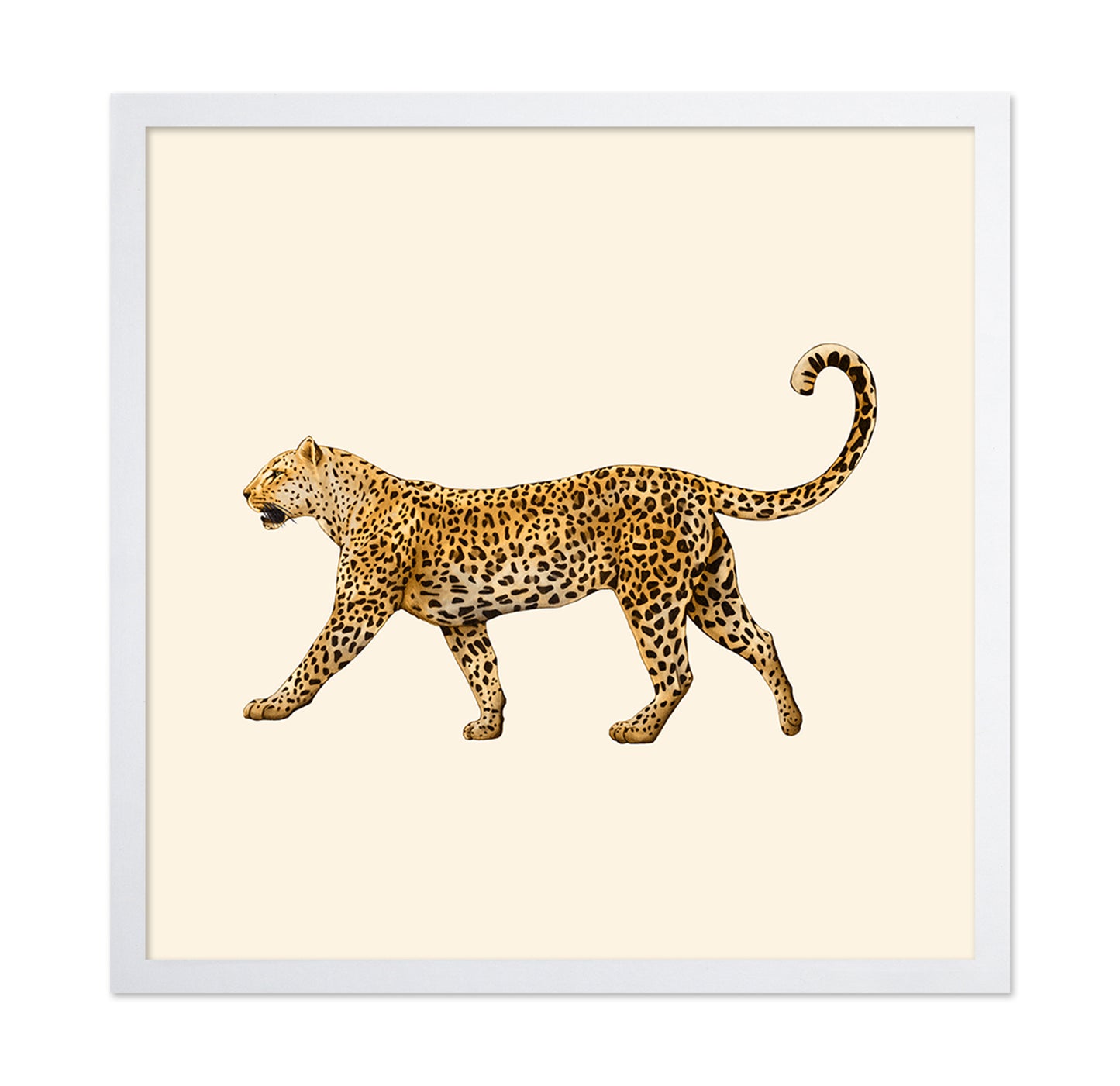 Leopard Profile Walk