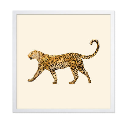 Leopard Profile Walk