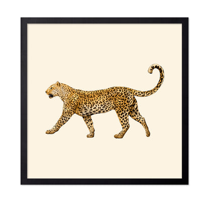 Leopard Profile Walk