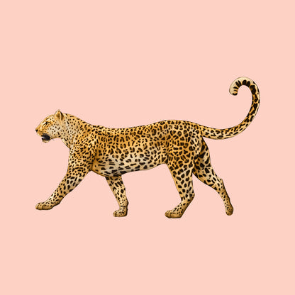 Golden Leopard Walk