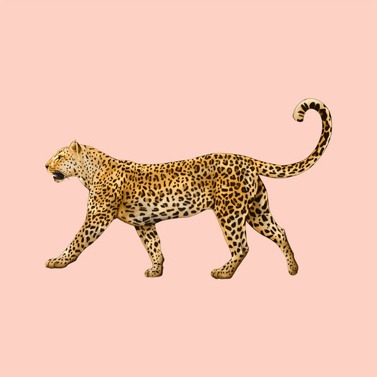 Golden Leopard Walk