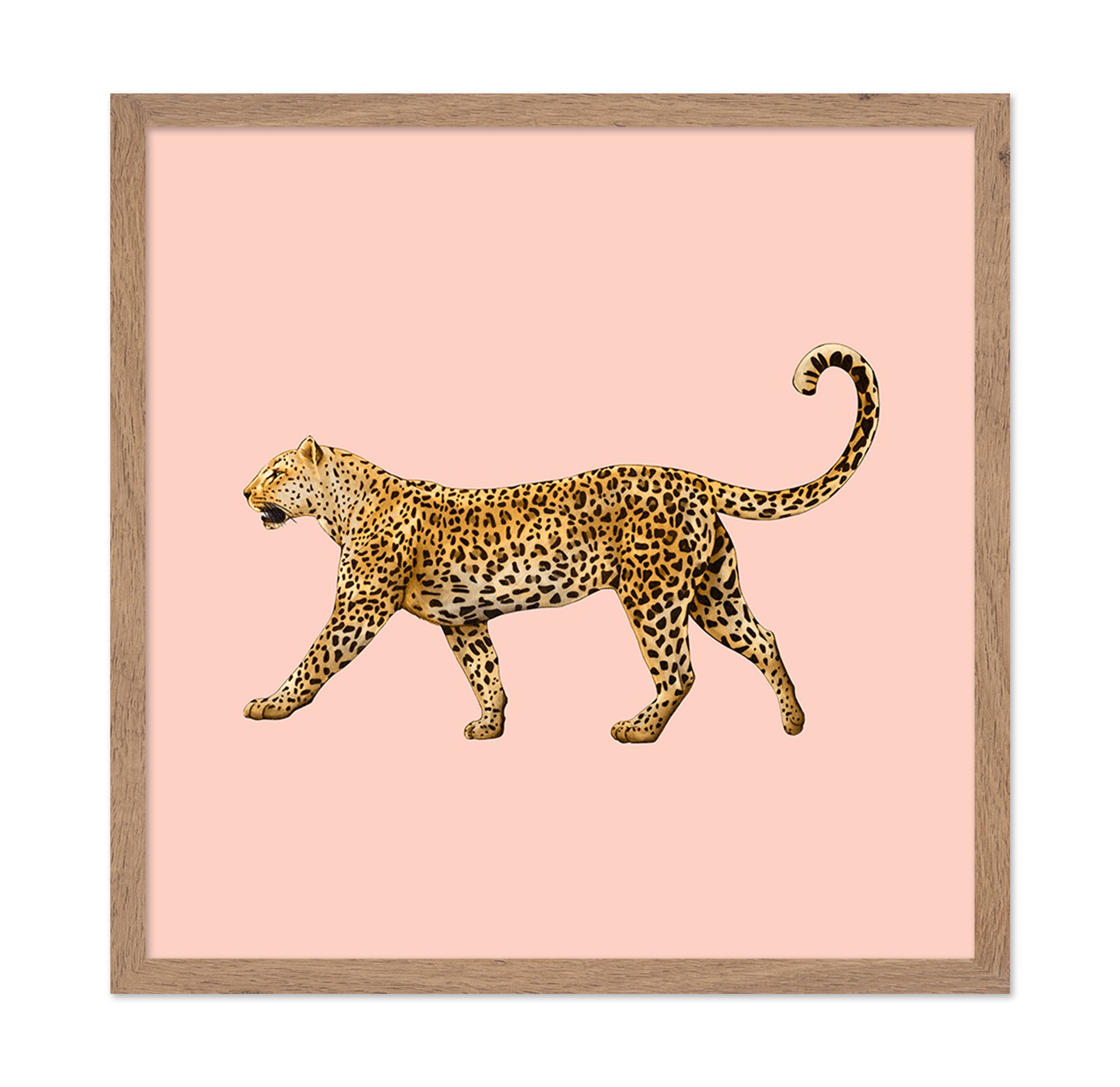Golden Leopard Walk